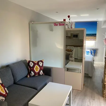 Apartment Atico Loft The Rose 48