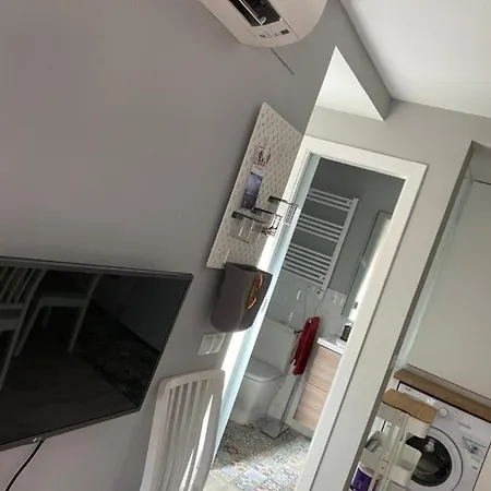 Atico Loft The Rose 48 Apartment *