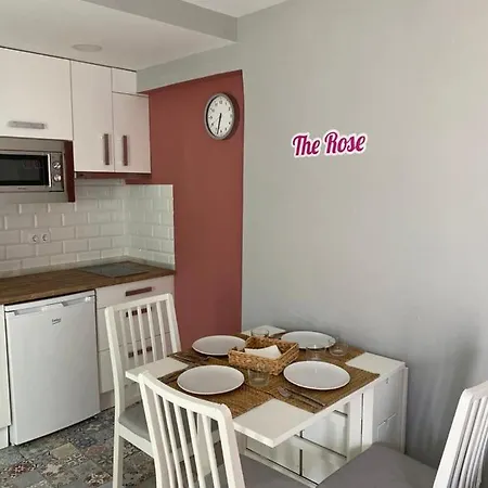 Atico Loft The Rose 48 Cadiz